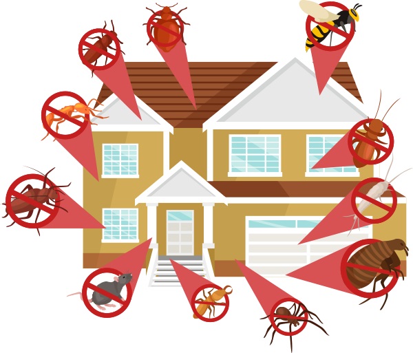 Affordable Exterminating Services for Pest Control in Hilmar, CA